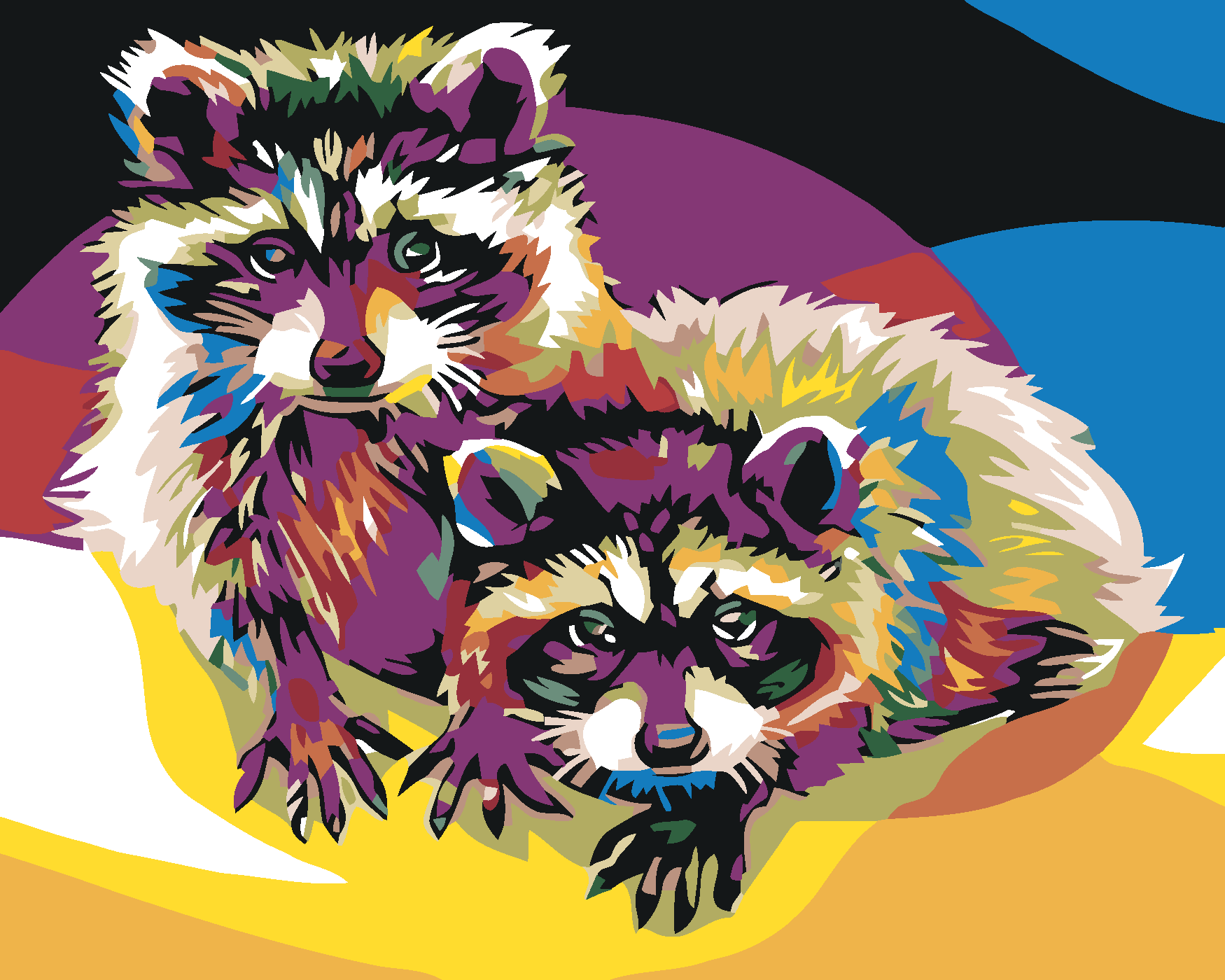 Malen Nach Zahlen - Farbige Waschbären