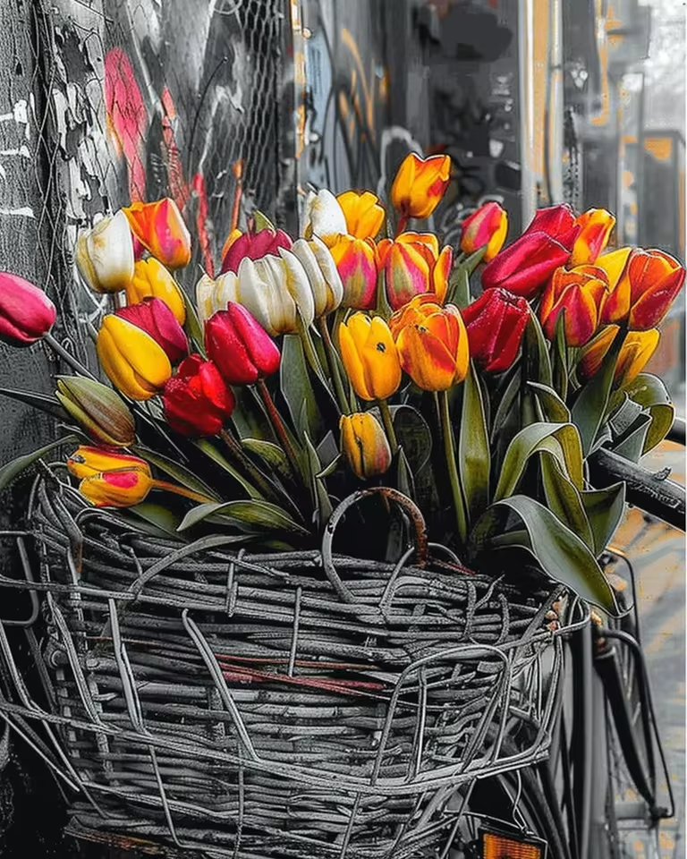 Malen Nach Zahlen - Tulpen Blumenstrauß