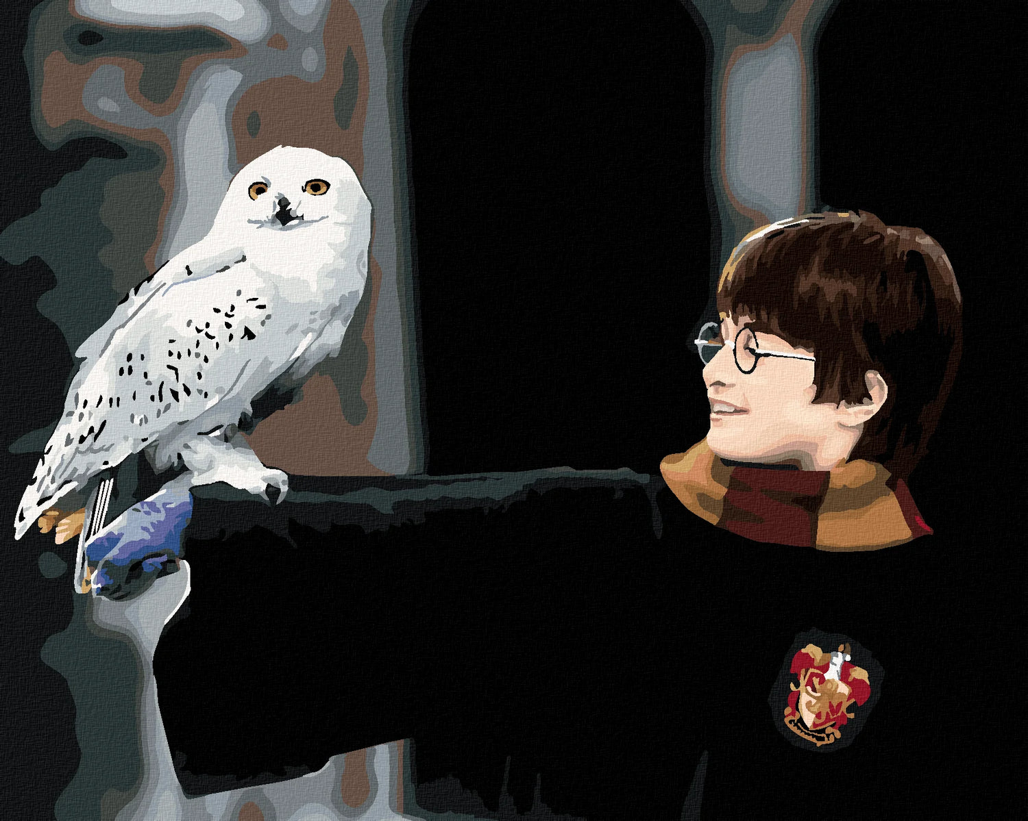 Malen nach Zahlen - Harry Potter Mit Hedwig Auf Dem Arm