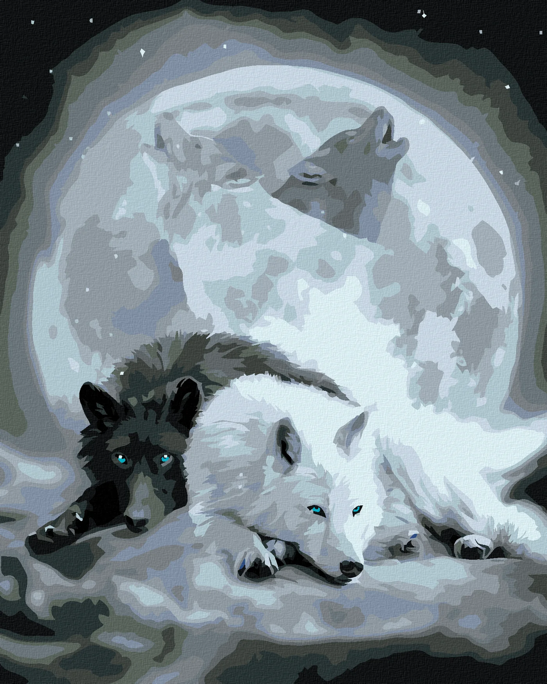 Malen nach Zahlen - Weisser Und Schwarzer Wolf Und Vollmond