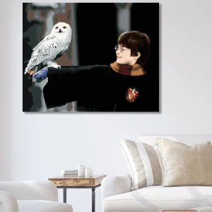 Malen Nach Zahlen Harry Potter Mit Hedwig Auf Dem Arm