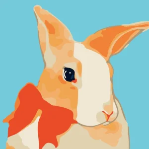 Malen Nach Zahlen Hase Mit Schal