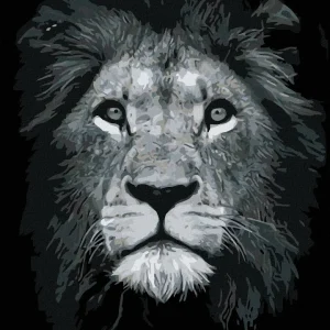 Malen Nach Zahlen Löwe Schwarz Weiß