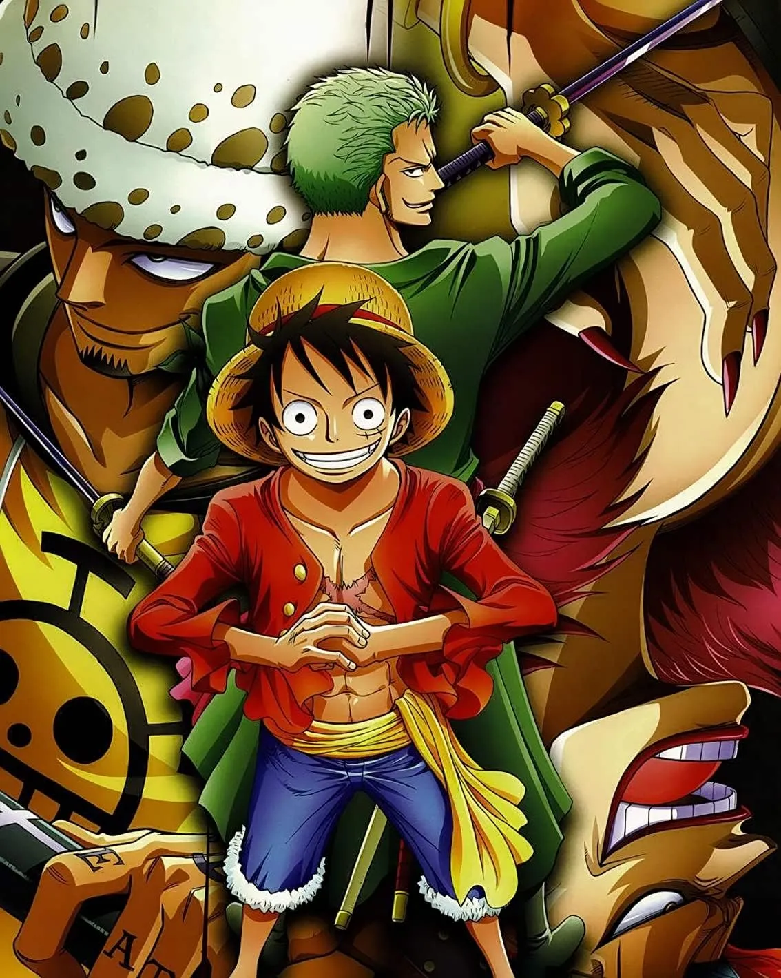 Malen Nach Zahlen Monkey D Luffy