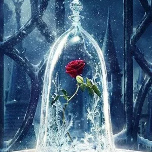 Malen Nach Zahlen Rose Im Glas