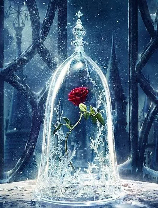 Malen Nach Zahlen Rose Im Glas